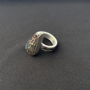 Petrified Opal Ring #9.5
